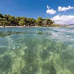 Beautiful In Prgomet Labin (Dalmatia)